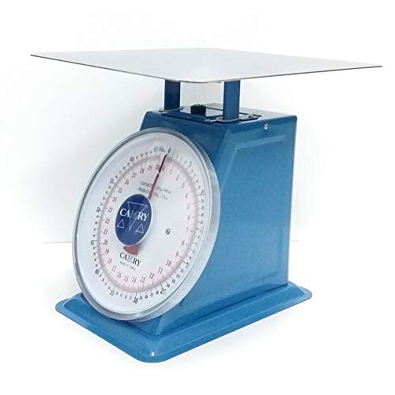 CAMRY Mechanical Spring Scale | Analog Dial Weighing Scale with Metal Platform | Grocery, Vegetable, Meat, Market & Commercial Use